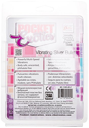 Pocket Exotic Bullet Silver