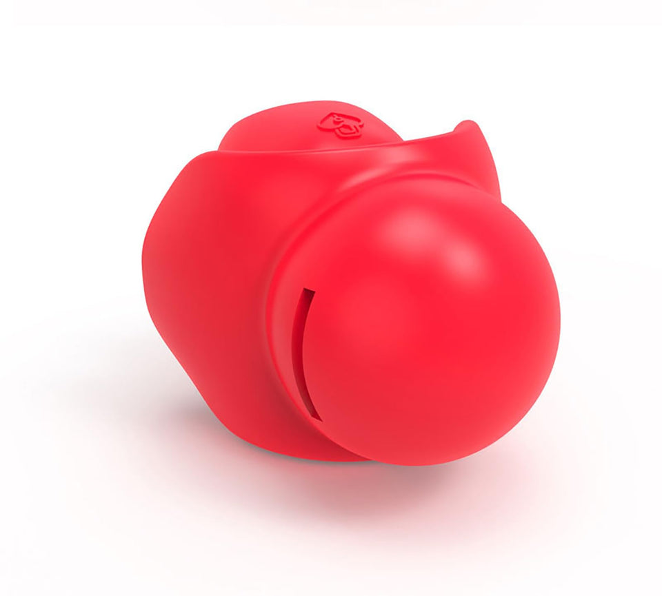Kutocesy Ball Gag Silicone Soft Mouth Sex Balls with Adjustable Bondage Strap Ballgag for SM Adult Fetish Restraint Kit (Red)