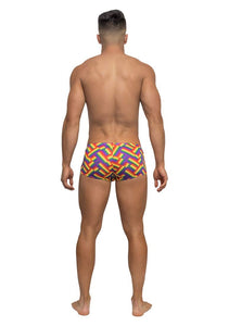 Pride Fest - Mini Short - Large - Print