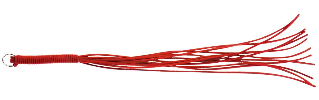 20In Red Thong Whip