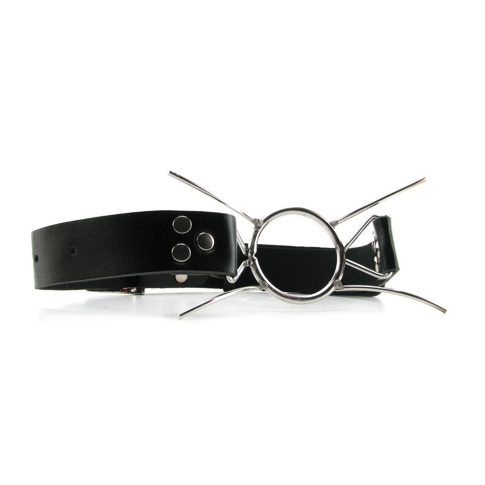 Fetish Fantasy Extreme Spider Gag, Silver