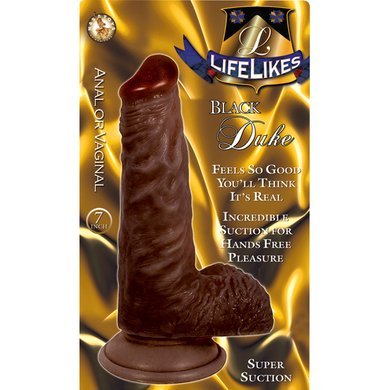 Lifelike Black Duke