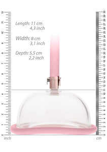 Pumped - Pussy Pump - Rose