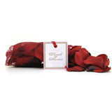 Kheper Games Trail Of Roses