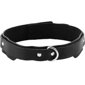 1.25IN Confort Fit Collar