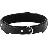 1.25IN Confort Fit Collar