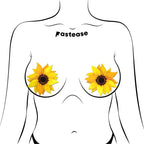 Pastease Sunflower