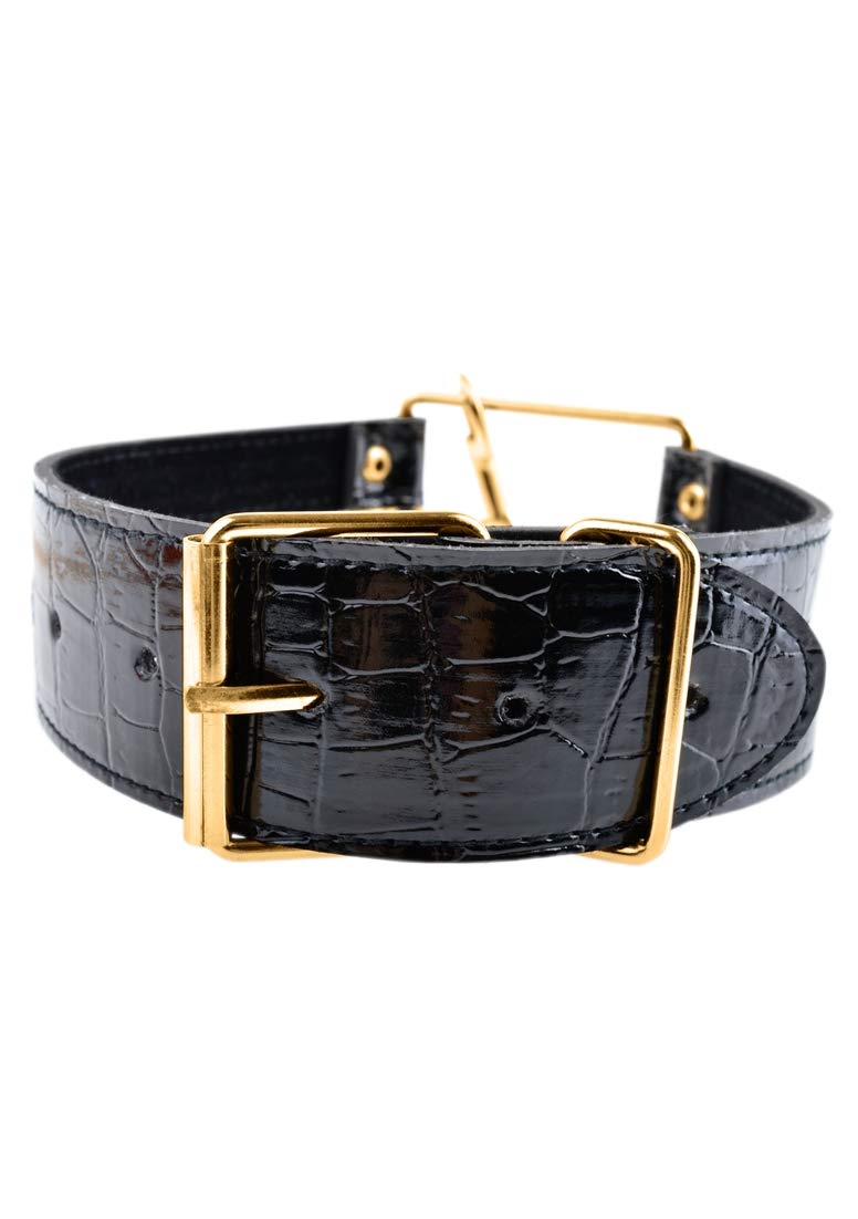 Fetish Fantasy Gold Leash