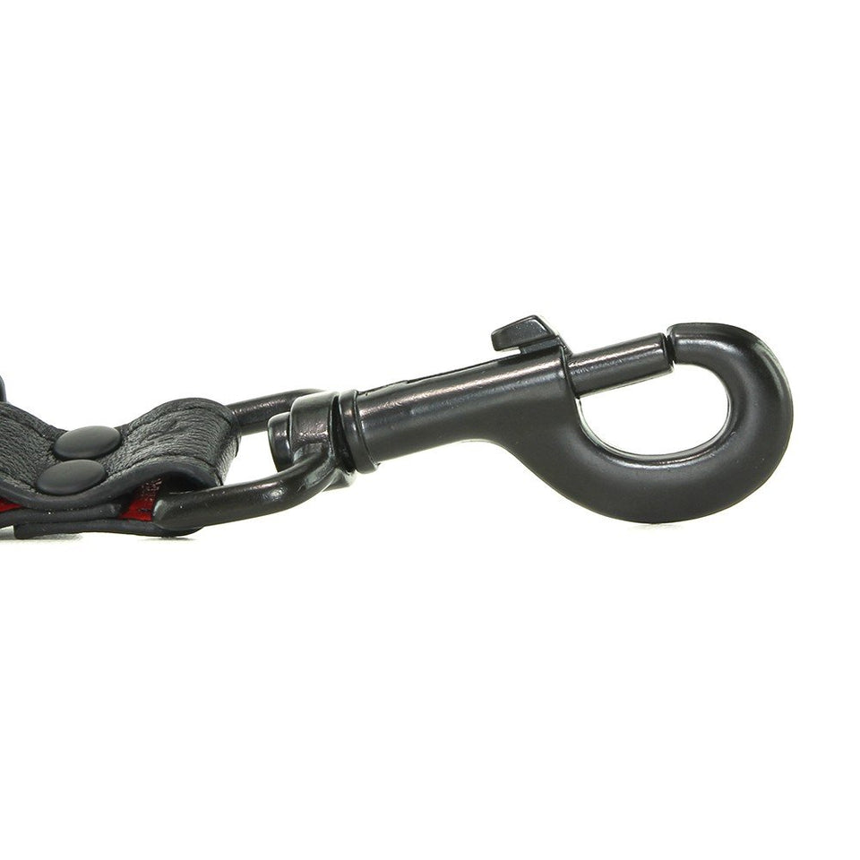 Kink Leather Sub Acc All Access Clips Bk