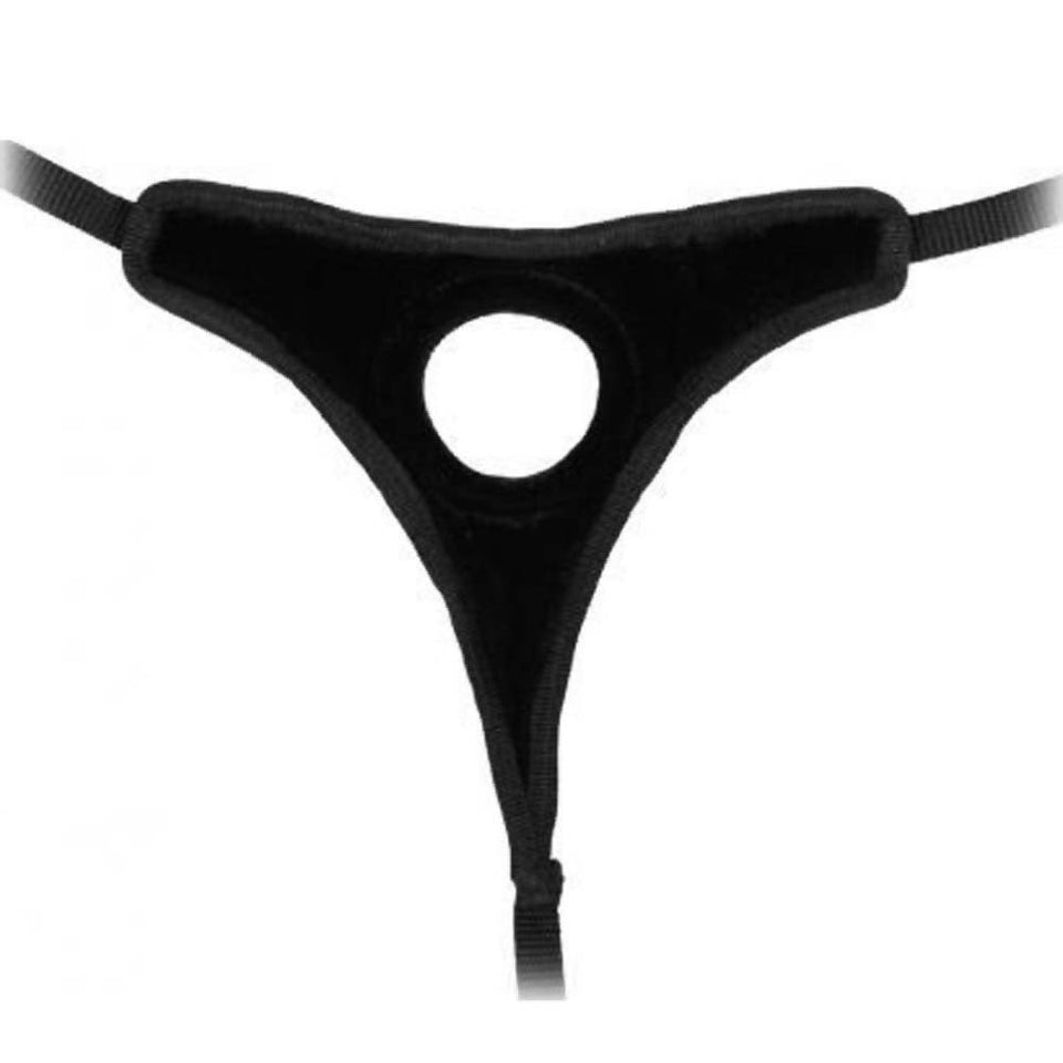 (Wd) Harness The Innovation Bl