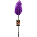 Ostrich Feather Purple