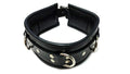 Rouge Leather Padded Collar Black