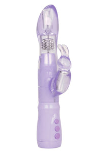 (D) Intense Thrusting Jack Rab Pink