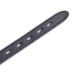 CLROY Siliicone Bondage Ball Gag, Bondage Restraints Sex Bite Gag (Color-5)