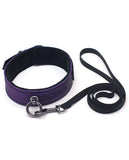 Galaxy Legend Collar & Leash Purple