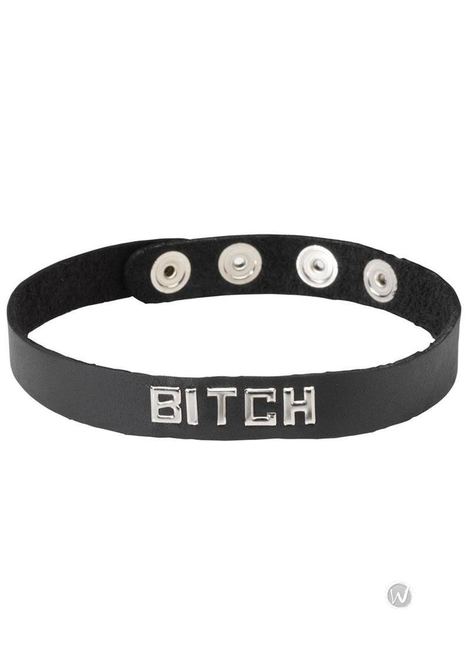 Spartacus Bitch Collar Word Collar