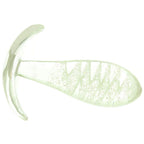 Firefly Glass - Ace Glass Plug - Clear