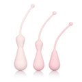 (Wd) Inspire Weighted Silicone Kegel Training Kit