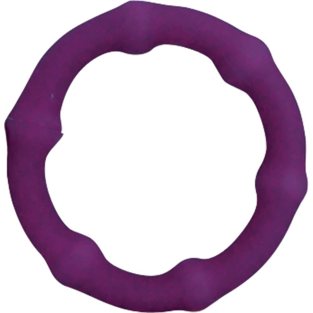 Cock Swellers Nasstoys, Purple
