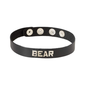 Collar - Bear