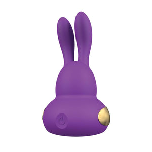 (Wd) Chari Purple Vibrator