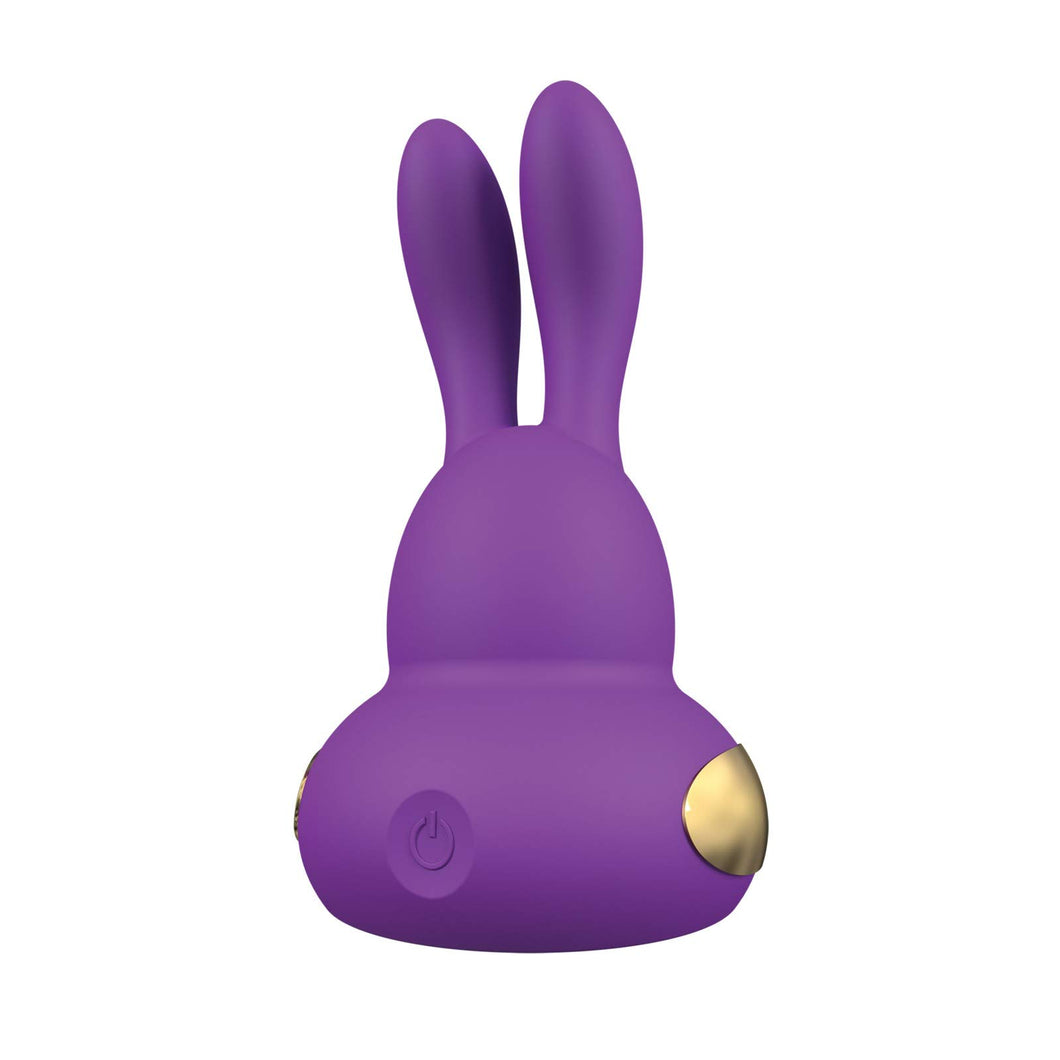 (Wd) Chari Purple Vibrator
