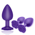 Anal Plug Sex Toy, 3Pcs Silicone Anal Plugs Training Set,Training Set with Prostate Sex Toys for Beginners Advanced Users(Purple