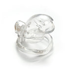 Male Chastity Device Cock Cage - Lock Love Average Size Chastity Cage with 3 Active Rings & Keys Adult Sex Toy for Men PC Plasti