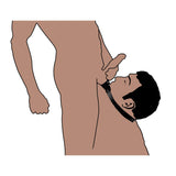 (D) St Balls To Mouth Gag