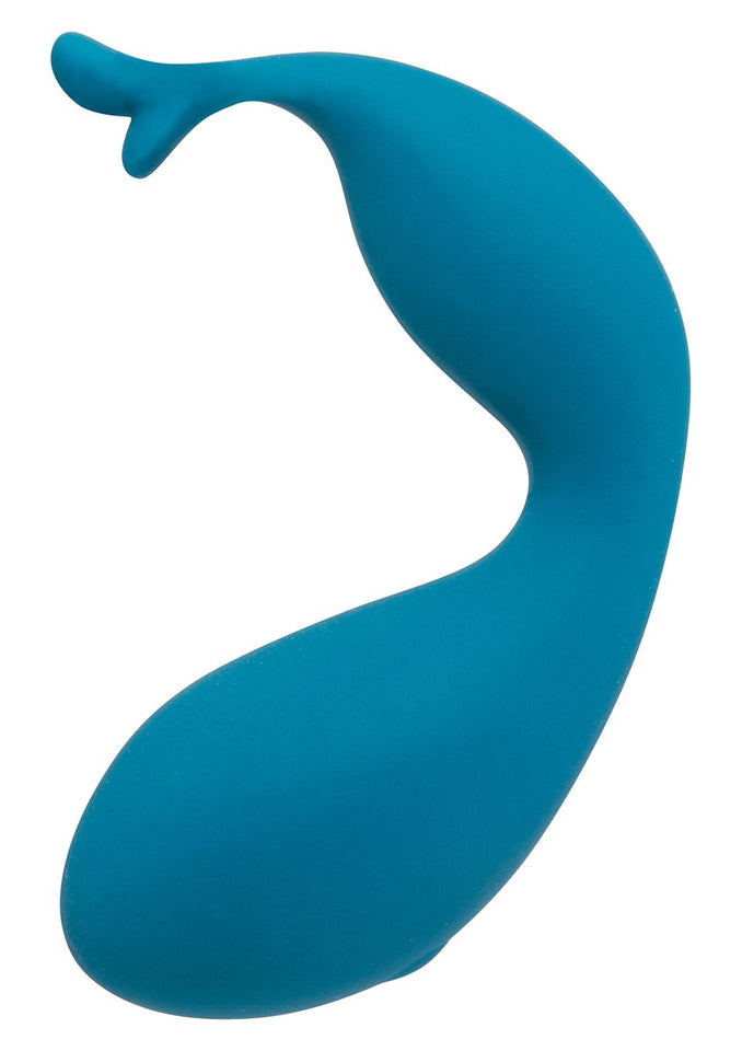 (WD) SWAN SQUEEZE KISS TEAL