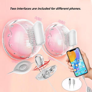 Nipple Clamps with Clitoral G Spot Dildo Vibrator 2 in 1 Nipple Clips for Women Sex Pleasure Dual Stimulation for Nipples and G-