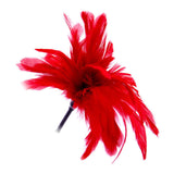 Adult Flriting Toy Sex Feather Tickler Teaser Feather Sex Teaser Sex Tickler Spanking Toys Tickler Toy Adult Feathers for Sexual