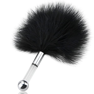 Feather Tickler Multi-Function Cosplay Feather Teaser Small Anal Plug Stainless Steel Butt Plug Skin Stimulator Restraint Kit SM