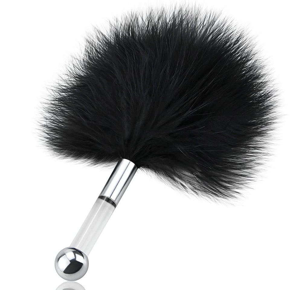 Feather Tickler Multi-Function Cosplay Feather Teaser Small Anal Plug Stainless Steel Butt Plug Skin Stimulator Restraint Kit SM