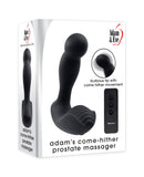 ADAM & EVE ADAMS COME HITHER PROSTATE MASSAGER