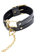 Fetish Fantasy Gold Leash