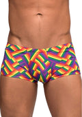 Male Power Pride Fest Mini Short Trunk (Medium) Rainbow