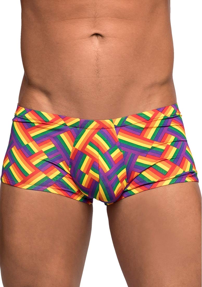 Pride Fest - Mini Short - X-Large - Print
