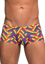 Pride Fest - Mini Short - X-Large - Print