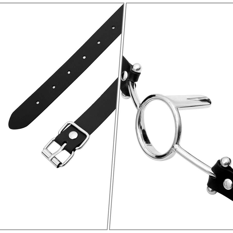 ReptiLeisure Metal Open Mouth Gag BDSM Oral O Ring Gag Bondage Restraints for Female Flirting Tongue Depressor (Silver)