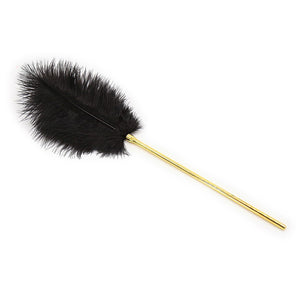 Sex Tickler Spanking Toys Tickler Toy Adult Feathers for Sexual Play Sex Feather Tickler Teaser Sex Accesorios Ticklers Adults B