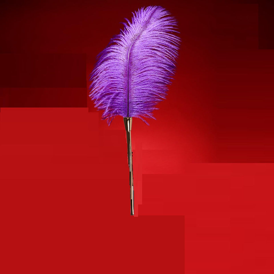 Sex Novelty Toys Sex Feather Tickler Sex Ticklers for Adults Bedroom Feather Teaser Feather Stick Spanking Toy Sex Whip for Role