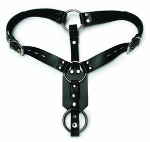 Kl Anal Plug Harness With Cock Ring