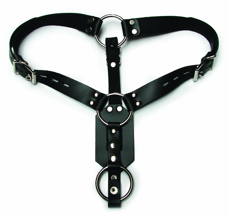 Kl Anal Plug Harness With Cock Ring