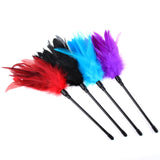 Adult Flriting Toy Sex Feather Tickler Teaser Feather Sex Teaser Sex Tickler Spanking Toys Tickler Toy Adult Feathers for Sexual