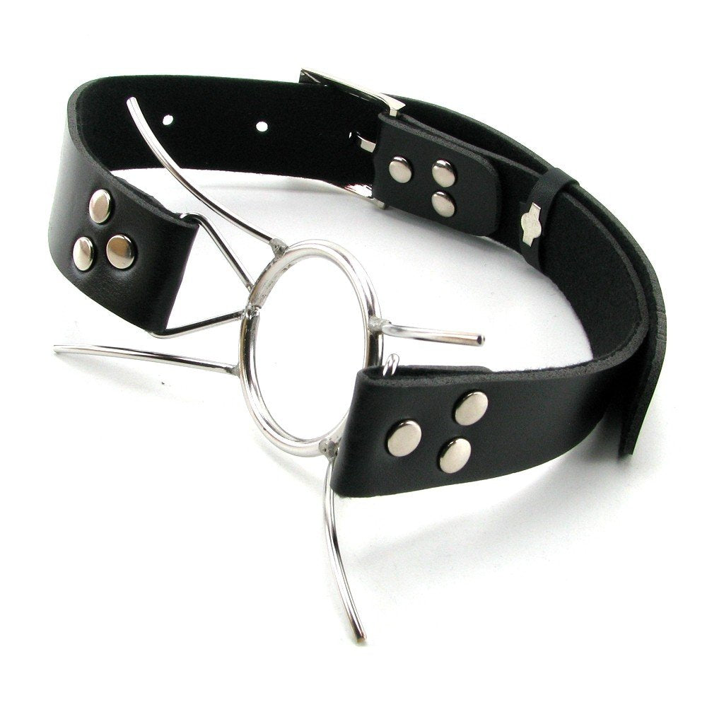 Fetish Fantasy Extreme Spider Gag, Silver