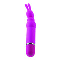 California Exotic Novelties Lia Mini-Massager Collection Bounding Bunny, Pink