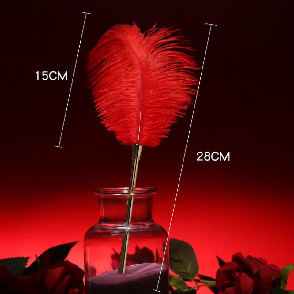 Sex Novelty Toys Sex Feather Tickler Sex Ticklers for Adults Bedroom Feather Teaser Feather Stick Spanking Toy Sex Whip for Role