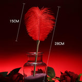 Sex Novelty Toys Sex Feather Tickler Sex Ticklers for Adults Bedroom Feather Teaser Feather Stick Spanking Toy Sex Whip for Role