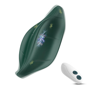 Remote Control Vibrator for Stimulate Clitoral, Wearable Panty Vibrator with 9 Vibrating Modes and Removable Bullets,Adult Sex T